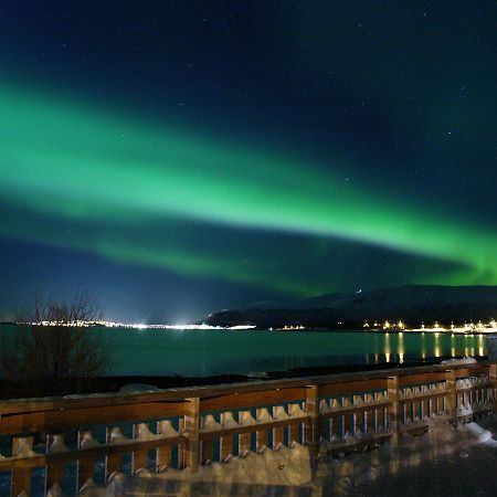 Vikran Vacation: Sea Fishing And Northern Lights Exterior foto