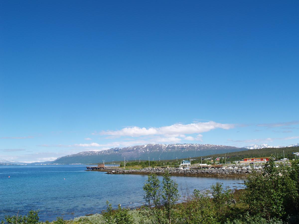 Vikran Vacation: Sea Fishing And Northern Lights Exterior foto
