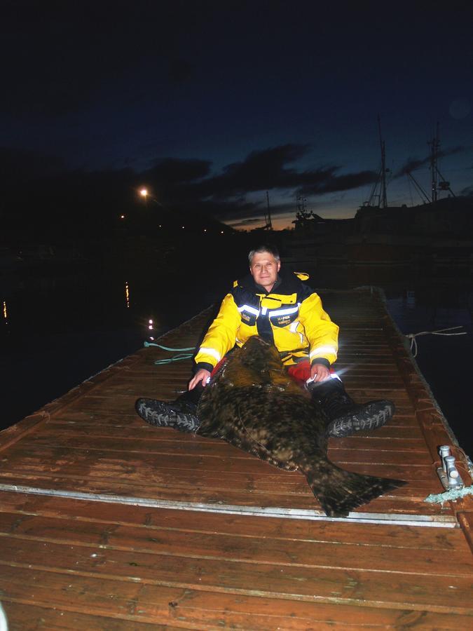 Vikran Vacation: Sea Fishing And Northern Lights Exterior foto