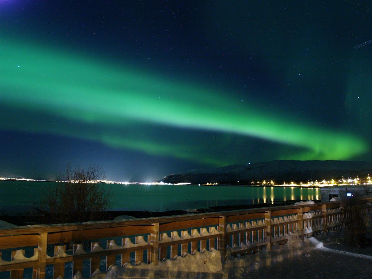 Vikran Vacation: Sea Fishing And Northern Lights Exterior foto