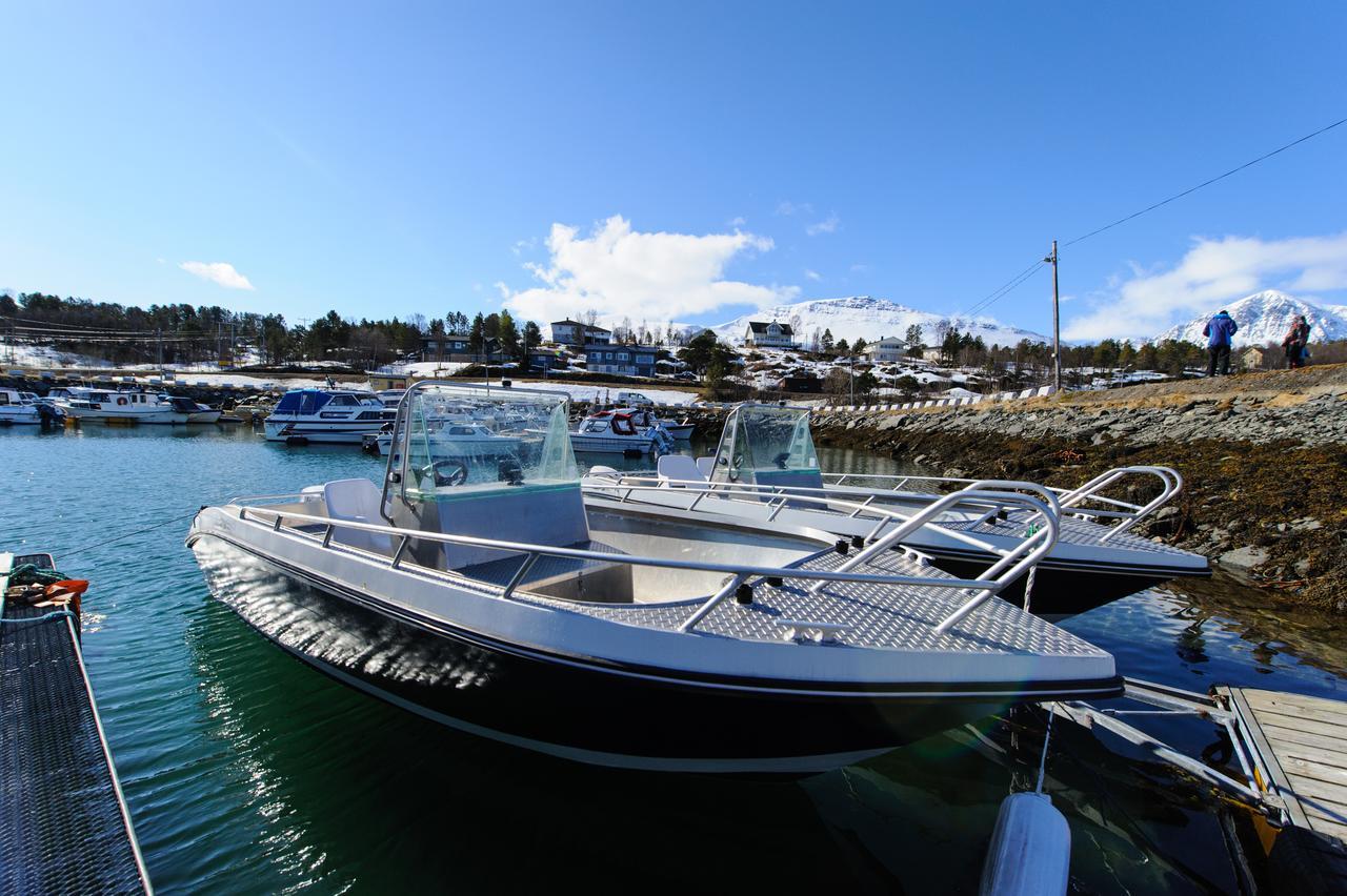 Vikran Vacation: Sea Fishing And Northern Lights Exterior foto