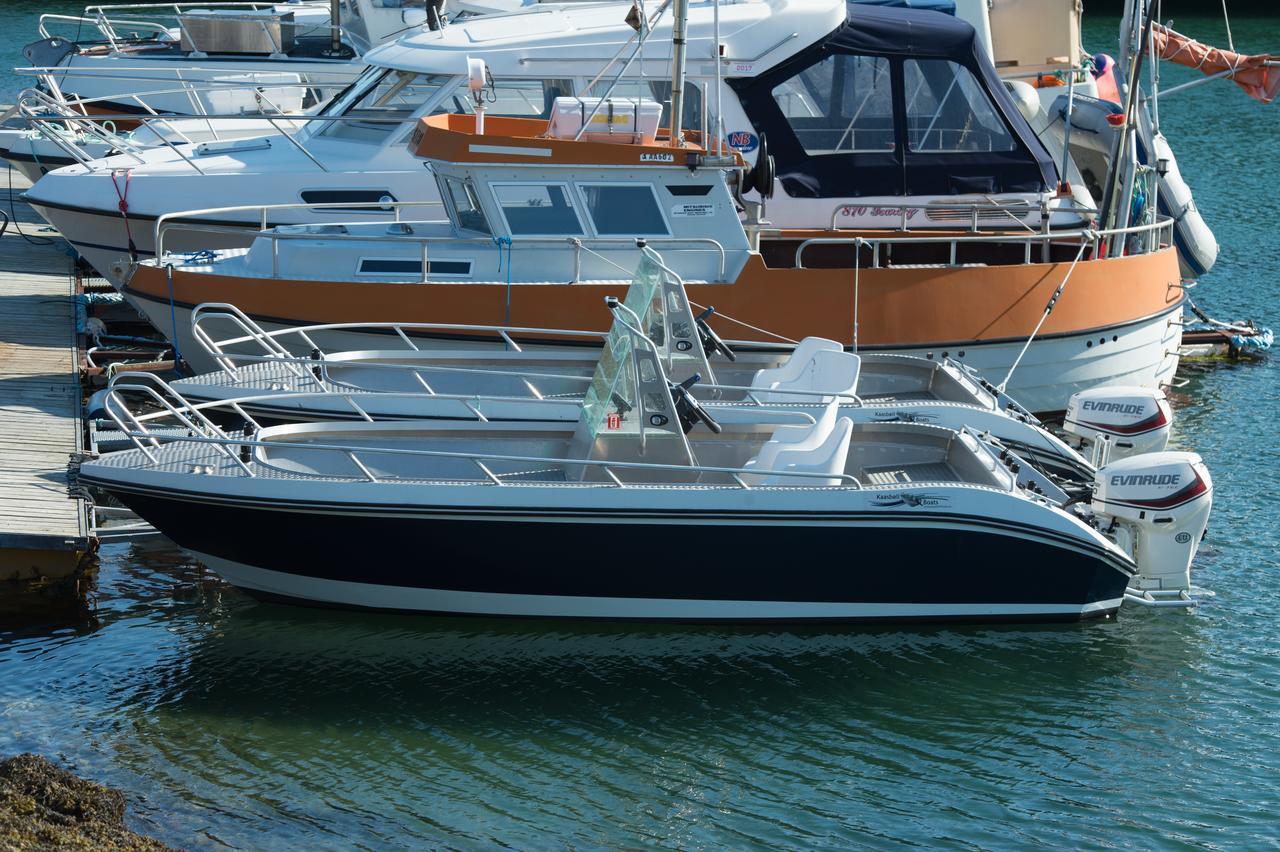 Vikran Vacation: Sea Fishing And Northern Lights Exterior foto