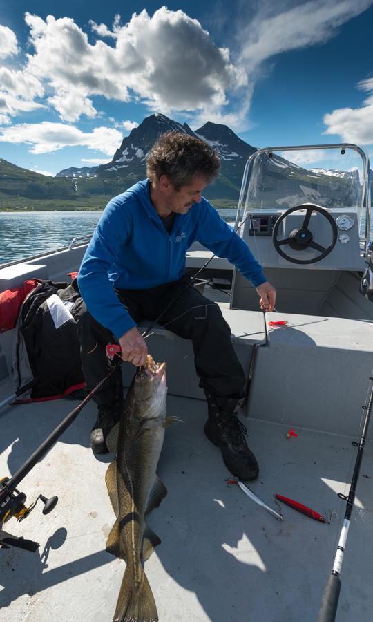 Vikran Vacation: Sea Fishing And Northern Lights Exterior foto
