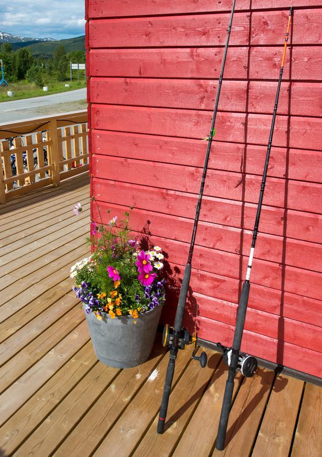 Vikran Vacation: Sea Fishing And Northern Lights Exterior foto