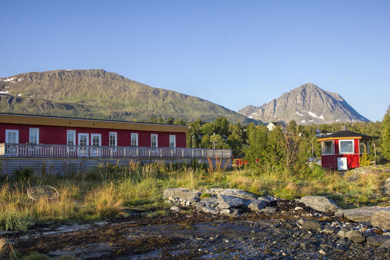 Vikran Vacation: Sea Fishing And Northern Lights Exterior foto