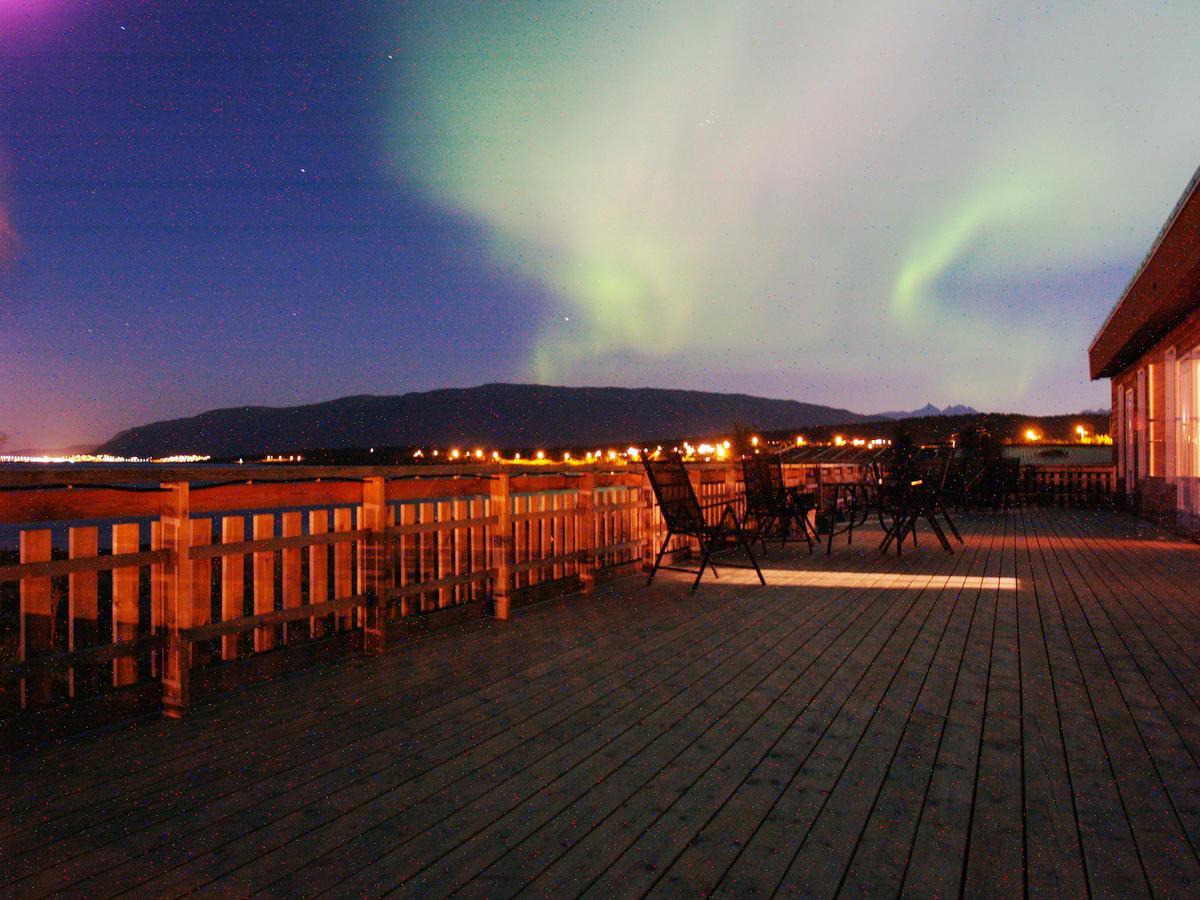 Vikran Vacation: Sea Fishing And Northern Lights Exterior foto