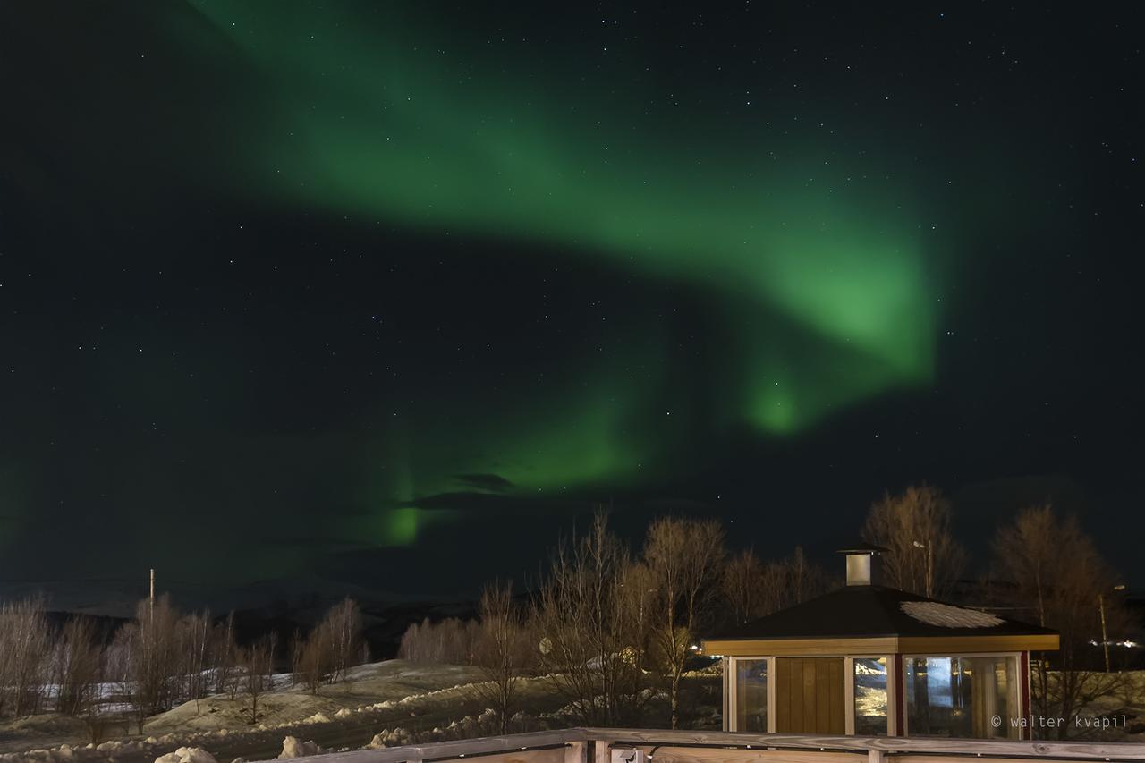 Vikran Vacation: Sea Fishing And Northern Lights Exterior foto